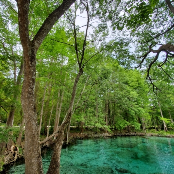 Welcome! - Picture 5 of 16